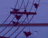 Detail5