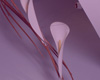 Detail2
