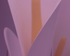 Detail4