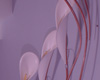 Detail5