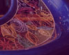 Detail3