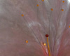 Detail3