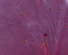 Detail3