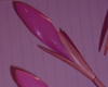 Detail5