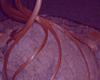 Detail6