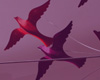 Detail2