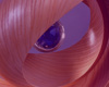 Detail1