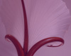Detail4