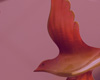 Detail4