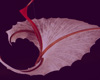 Detail1